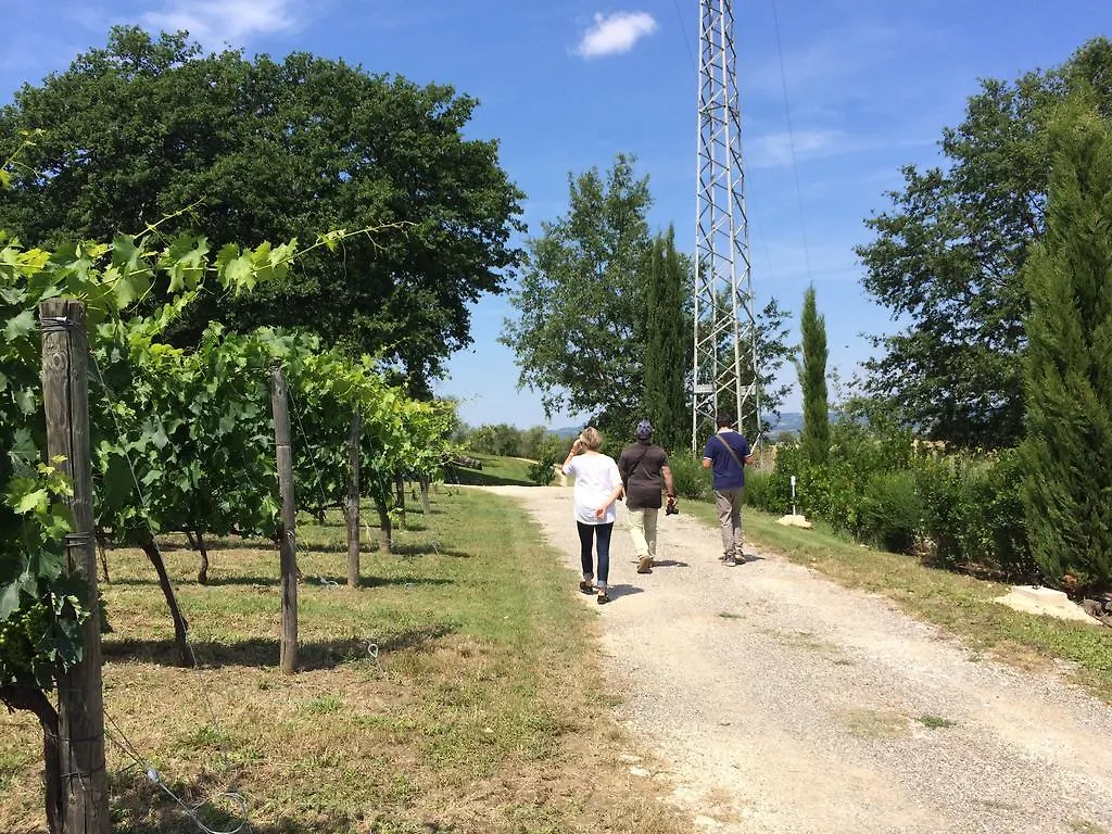 Villa Acquaviva Wine Resort Montemerano Alojamento de Turismo Rural