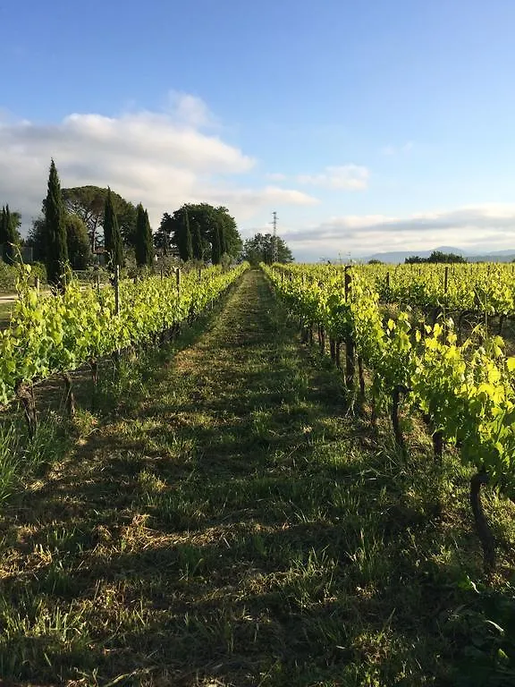 Villa Acquaviva Wine Resort Montemerano 0*,  Itália