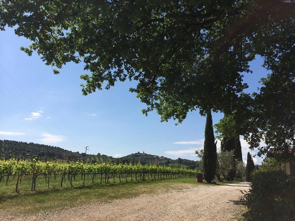 Alojamento de Turismo Rural Villa Acquaviva Wine Resort Montemerano Itália